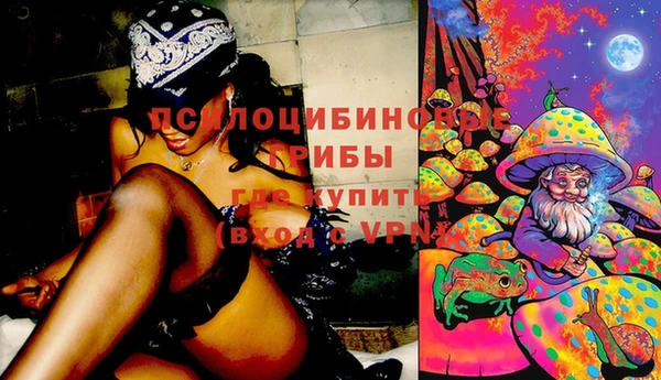 герыч Гусев