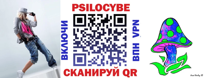 Псилоцибиновые грибы Psilocybe  Купить закладки  Павловский Посад 